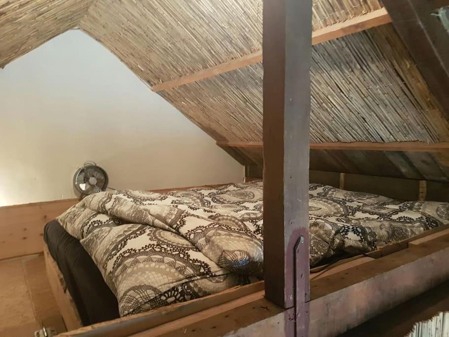 Balistyle Guesthouse Incl Hottub Near Amsterdam And Haarlem Velsen-Zuid Exterior foto